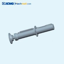 Concrete Machinery Cylinder For XCMG HB37V Concrete conveying cylinder